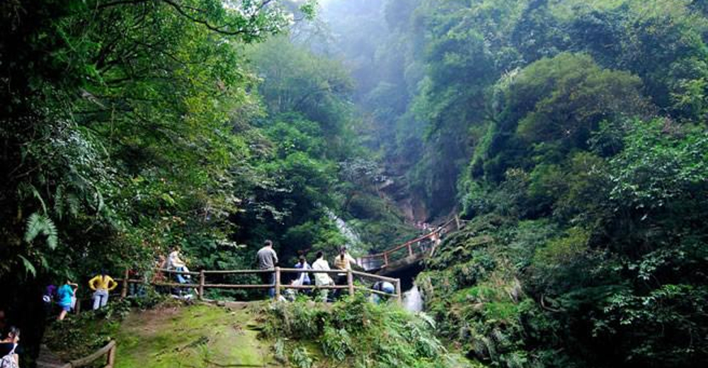 四川雅安碧峰峡门票 风景区加熊猫园