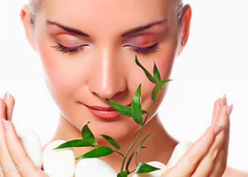 豆豆博士（中山西路店）