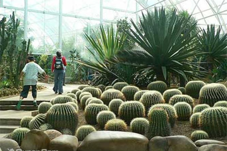 大连森林动物园热带雨林馆旅游
