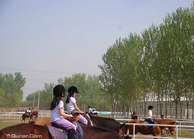 北京逍遥骑士马术俱乐部