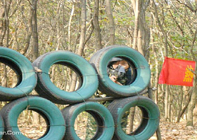 猎鹰野战俱乐部