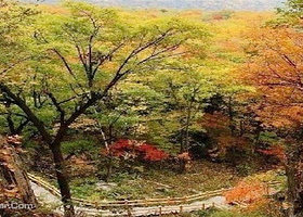 双阳冰溶洞风景旅游区