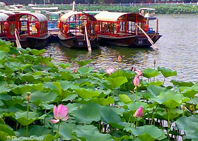 什刹海野鸭岛游船