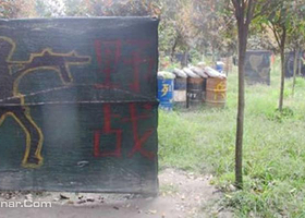 九九勇士野战营（清水河公园CS基地）