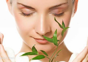 豆豆博士（红旗大街店）