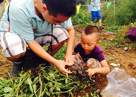 亲农耕农业体验园