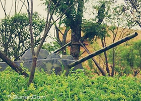 枭镭真人CS（淮安运动乐园)