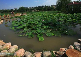 津南农业科技园