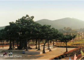 环城国家森林公园