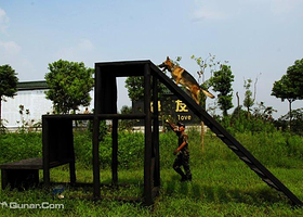 永升都市犬俱乐部
