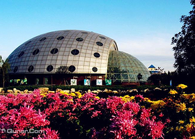 杨凌昆虫博物馆