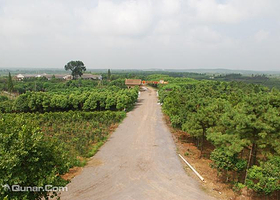 肥西老母鸡生态园