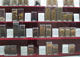 中医大学医药博物馆