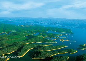 千岛湖淳牌有机鱼头