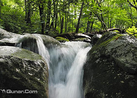 九龙川自然保护区