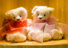 泰迪珍藏展111周年中南城纪念展