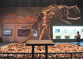 生物进化史陈列室