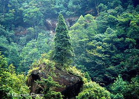 中亚热带自然保护区