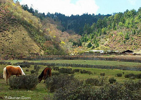 罗锅箐―大羊场