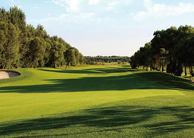 北京大宗高尔夫