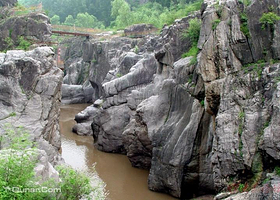 硅化木地质公园