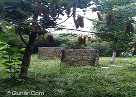 高铁生态公园真人CS