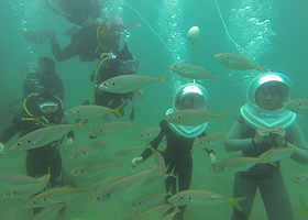 济州岛海底漫步潜水