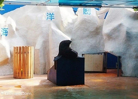 邯郸海洋动物世界