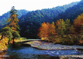 玉女溪国家森林公园