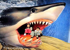 国际3D魔幻巡回展