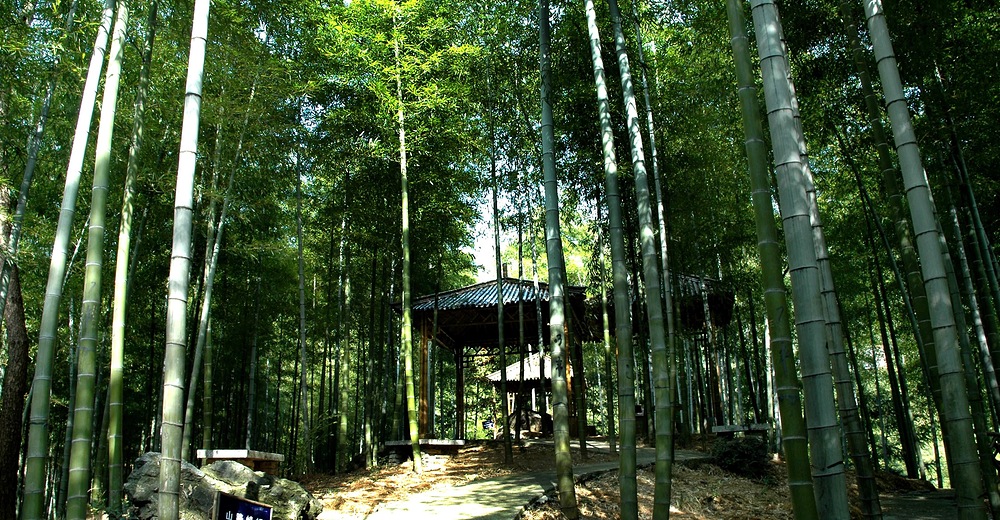 安吉荷花山漂流 成人票