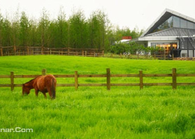清境拾房文化市集