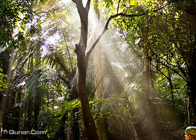 芭提雅丛林飞跃