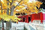 潭柘寺