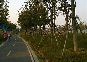 捷安特单车驿站（环湖自行车道）