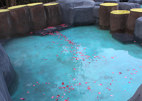 秋浦渔村温泉度假村