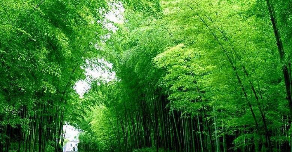 l重庆永川香海温泉成人票 l