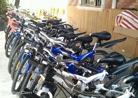 乐游游自行车出租店