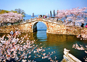 纯玩无锡一日游  三国城水浒城+鼋头渚+太湖仙岛