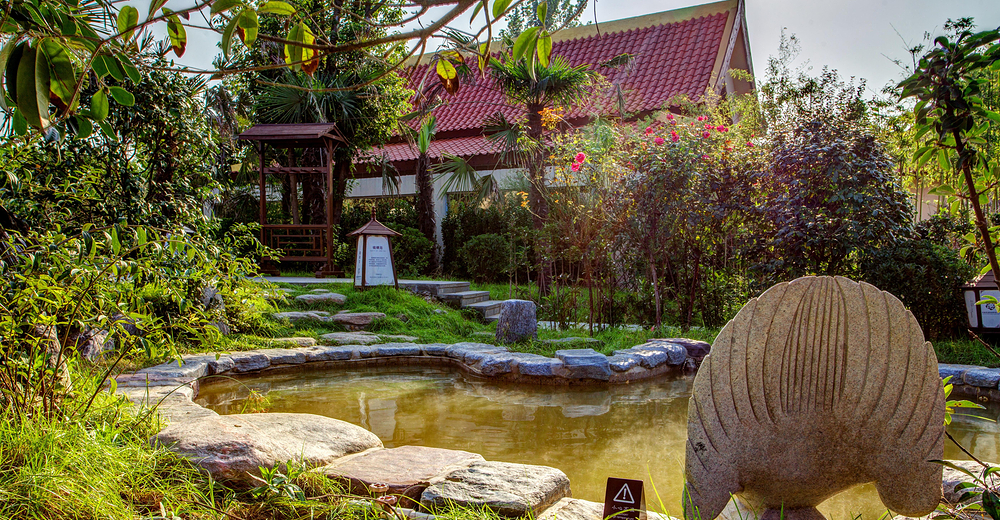 花溪温泉儿童票