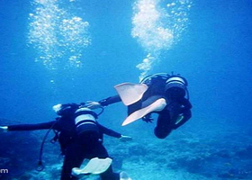 深呼吸豪华户外精品潜水