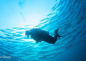 安迪水肺潜水中心