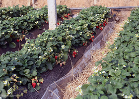 苏州怡家农家乐