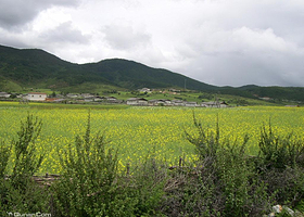 丽江香格里拉直通车