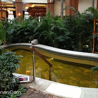 汤圣瑶池温泉会馆