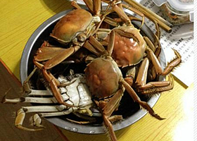 七里河诚真河蟹垂钓采摘园