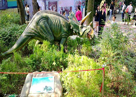 长沙798红馆大型恐龙馆