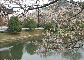 太湖西山金之庭农庄