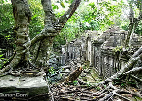 柬埔寨一日游租车