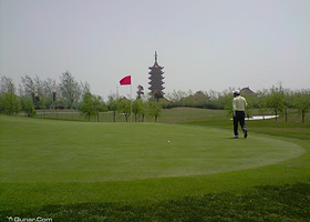 射阳岛生态体育公园